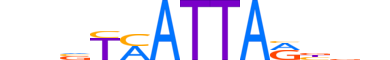 PDX1.H12INVITRO.1.PSM.A reverse-complement motif logo (PDX1 gene, PDX1_HUMAN protein)