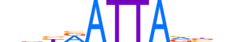 PHX2B.H12INVITRO.1.SM.B reverse-complement motif logo (PHOX2B gene, PHX2B_HUMAN protein)