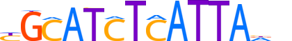 PIT1.H12INVITRO.0.SM.B reverse-complement motif logo (POU1F1 gene, PIT1_HUMAN protein)