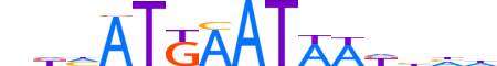 PIT1.H12INVITRO.1.S.B motif logo (POU1F1 gene, PIT1_HUMAN protein)