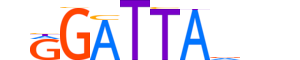 PITX2.H12INVITRO.0.SM.B motif logo (PITX2 gene, PITX2_HUMAN protein)