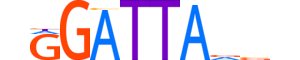 PITX3.H12INVITRO.0.SM.B motif logo (PITX3 gene, PITX3_HUMAN protein)