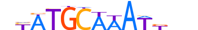 PO2F2.H12INVITRO.0.PSM.A motif logo (POU2F2 gene, PO2F2_HUMAN protein)