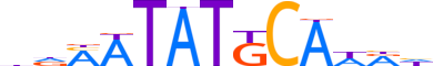 PO2F2.H12INVITRO.2.S.B reverse-complement motif logo (POU2F2 gene, PO2F2_HUMAN protein)