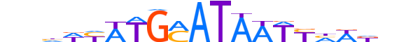 PO3F1.H12INVITRO.1.PS.A reverse-complement motif logo (POU3F1 gene, PO3F1_HUMAN protein)