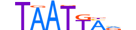 PO3F1.H12INVITRO.2.S.C motif logo (POU3F1 gene, PO3F1_HUMAN protein)