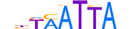 PO3F1.H12INVITRO.2.S.C reverse-complement motif logo (POU3F1 gene, PO3F1_HUMAN protein)