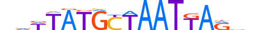 PO3F1.H12INVITRO.3.M.C motif logo (POU3F1 gene, PO3F1_HUMAN protein)