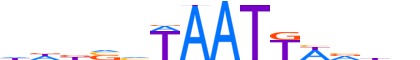 PO3F2.H12INVITRO.1.S.B reverse-complement motif logo (POU3F2 gene, PO3F2_HUMAN protein)