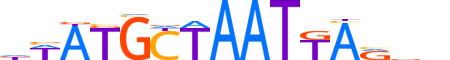 PO3F2.H12INVITRO.2.SM.B reverse-complement motif logo (POU3F2 gene, PO3F2_HUMAN protein)