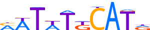 PO3F3.H12INVITRO.0.P.C reverse-complement motif logo (POU3F3 gene, PO3F3_HUMAN protein)