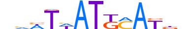 PO4F1.H12INVITRO.0.S.B motif logo (POU4F1 gene, PO4F1_HUMAN protein)