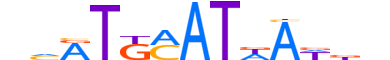 PO4F1.H12INVITRO.0.S.B reverse-complement motif logo (POU4F1 gene, PO4F1_HUMAN protein)