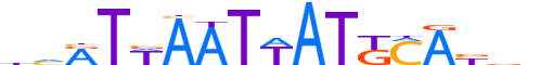 PO4F1.H12INVITRO.1.SM.B motif logo (POU4F1 gene, PO4F1_HUMAN protein)