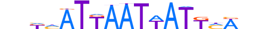 PO4F2.H12INVITRO.0.S.B motif logo (POU4F2 gene, PO4F2_HUMAN protein)