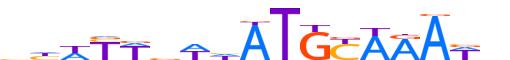 PO5F1.H12INVITRO.0.P.B motif logo (POU5F1 gene, PO5F1_HUMAN protein)