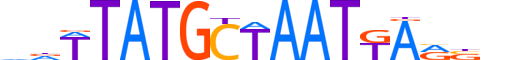 PO5F1.H12INVITRO.2.SM.B motif logo (POU5F1 gene, PO5F1_HUMAN protein)