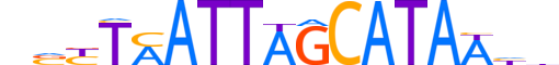 PO5F1.H12INVITRO.2.SM.B reverse-complement motif logo (POU5F1 gene, PO5F1_HUMAN protein)