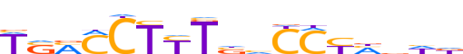 PPARA.H12INVITRO.0.P.D reverse-complement motif logo (PPARA gene, PPARA_HUMAN protein)