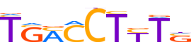 PPARA.H12INVITRO.1.P.D reverse-complement motif logo (PPARA gene, PPARA_HUMAN protein)