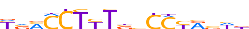 PPARG.H12INVITRO.0.P.D reverse-complement motif logo (PPARG gene, PPARG_HUMAN protein)