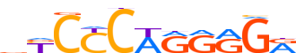 PRD16.H12INVITRO.0.P.D reverse-complement motif logo (PRDM16 gene, PRD16_HUMAN protein)