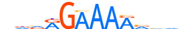 PRDM6.H12INVITRO.0.P.D motif logo (PRDM6 gene, PRDM6_HUMAN protein)