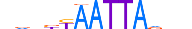 PRRX1.H12INVITRO.0.S.B reverse-complement motif logo (PRRX1 gene, PRRX1_HUMAN protein)