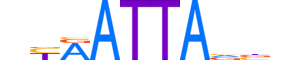 PRRX2.H12INVITRO.0.SM.B reverse-complement motif logo (PRRX2 gene, PRRX2_HUMAN protein)