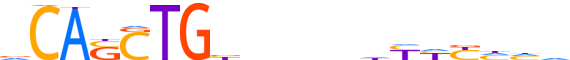 PTF1A.H12INVITRO.0.P.B motif logo (PTF1A gene, PTF1A_HUMAN protein)