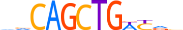 PTF1A.H12INVITRO.1.PS.A reverse-complement motif logo (PTF1A gene, PTF1A_HUMAN protein)