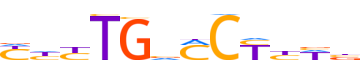 RARB.H12INVITRO.1.P.B reverse-complement motif logo (RARB gene, RARB_HUMAN protein)