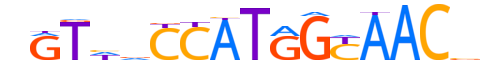 RFX2.H12INVITRO.1.PSM.A reverse-complement motif logo (RFX2 gene, RFX2_HUMAN protein)