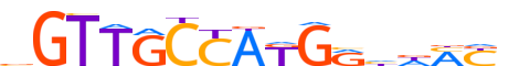 RFX4.H12INVITRO.0.SM.B motif logo (RFX4 gene, RFX4_HUMAN protein)