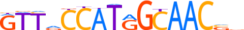 RFX5.H12INVITRO.2.S.B reverse-complement motif logo (RFX5 gene, RFX5_HUMAN protein)