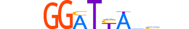 RHXF1.H12INVITRO.0.SM.B motif logo (RHOXF1 gene, RHXF1_HUMAN protein)