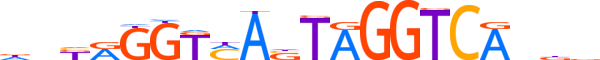 RORG.H12INVITRO.0.M.C motif logo (RORC gene, RORG_HUMAN protein)