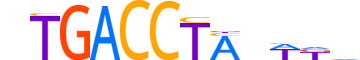 RORG.H12INVITRO.1.PS.A reverse-complement motif logo (RORC gene, RORG_HUMAN protein)