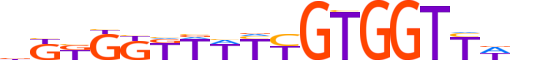 RUNX2.H12INVITRO.2.M.C motif logo (RUNX2 gene, RUNX2_HUMAN protein)