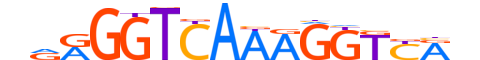 RXRB.H12INVITRO.1.SM.B motif logo (RXRB gene, RXRB_HUMAN protein)