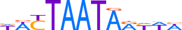 SATB1.H12INVITRO.1.P.D motif logo (SATB1 gene, SATB1_HUMAN protein)