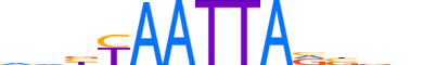 SHOX.H12INVITRO.1.S.B reverse-complement motif logo (SHOX gene, SHOX_HUMAN protein)