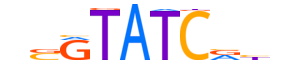 SIX1.H12INVITRO.1.SM.B reverse-complement motif logo (SIX1 gene, SIX1_HUMAN protein)