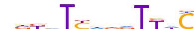 SIX2.H12INVITRO.0.P.B reverse-complement motif logo (SIX2 gene, SIX2_HUMAN protein)