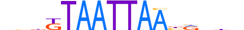 SKOR1.H12INVITRO.1.S.C reverse-complement motif logo (SKOR1 gene, SKOR1_HUMAN protein)