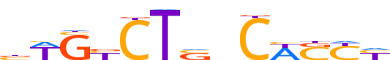 SMAD3.H12INVITRO.2.P.C reverse-complement motif logo (SMAD3 gene, SMAD3_HUMAN protein)