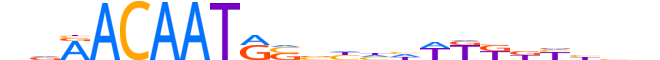 SOX10.H12INVITRO.0.PSM.A reverse-complement motif logo (SOX10 gene, SOX10_HUMAN protein)