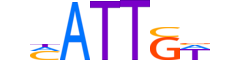 SOX17.H12INVITRO.0.PS.A motif logo (SOX17 gene, SOX17_HUMAN protein)