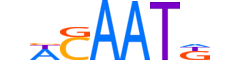 SOX17.H12INVITRO.0.PS.A reverse-complement motif logo (SOX17 gene, SOX17_HUMAN protein)