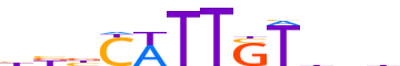 SOX2.H12INVITRO.0.P.B motif logo (SOX2 gene, SOX2_HUMAN protein)